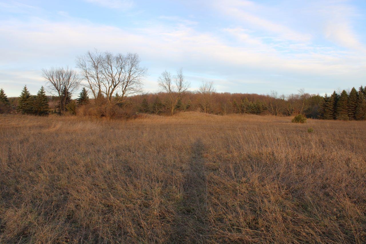1 Read Road Copemish, MI 49625 - Photo 19 of 50