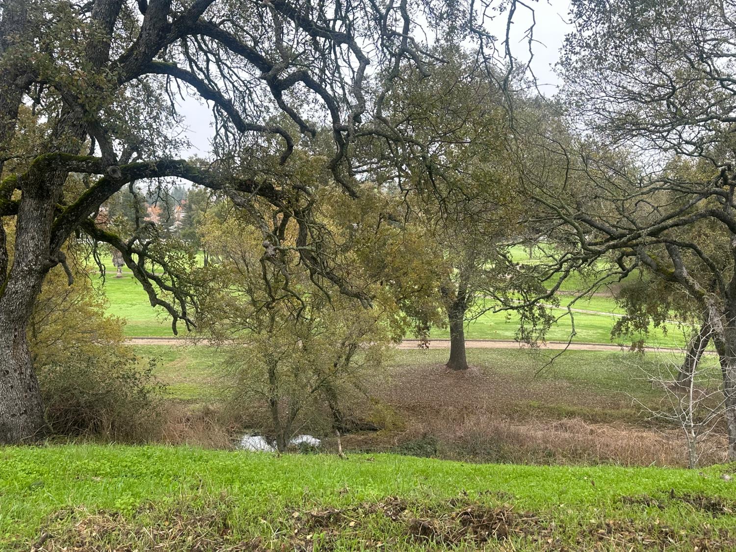 2063 Greenbriar Road Valley Springs, CA 95252 - Photo 2 of 8