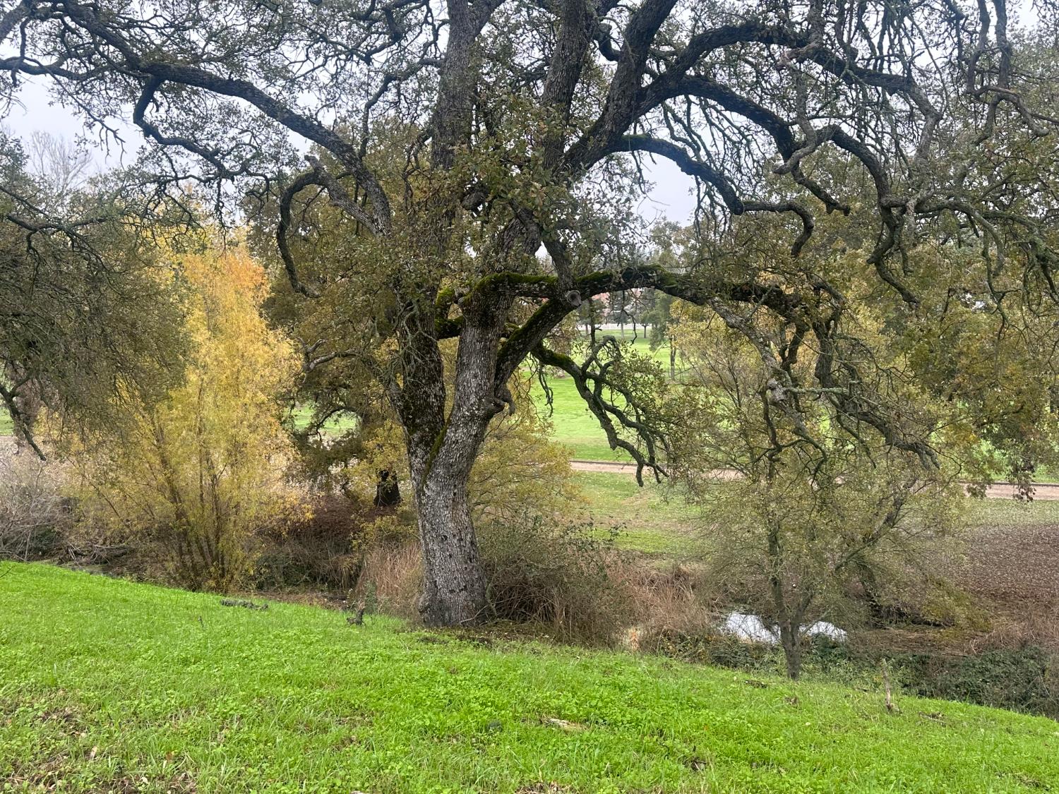 2063 Greenbriar Road Valley Springs, CA 95252 - Photo 3 of 8