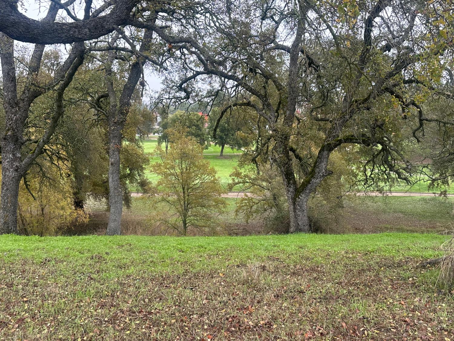 2063 Greenbriar Road Valley Springs, CA 95252 - Photo 5 of 8