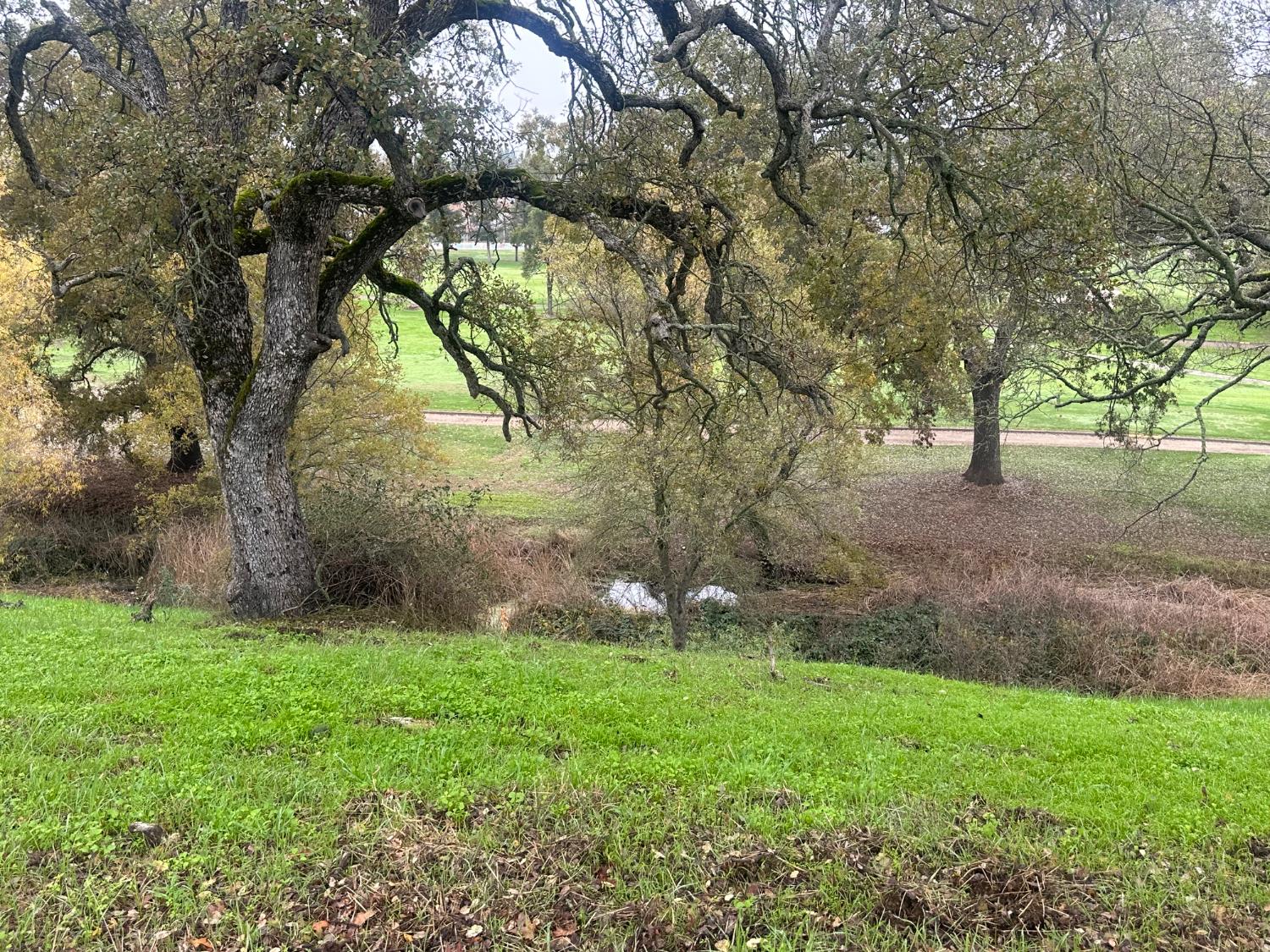 2063 Greenbriar Road Valley Springs, CA 95252 - Photo 7 of 8