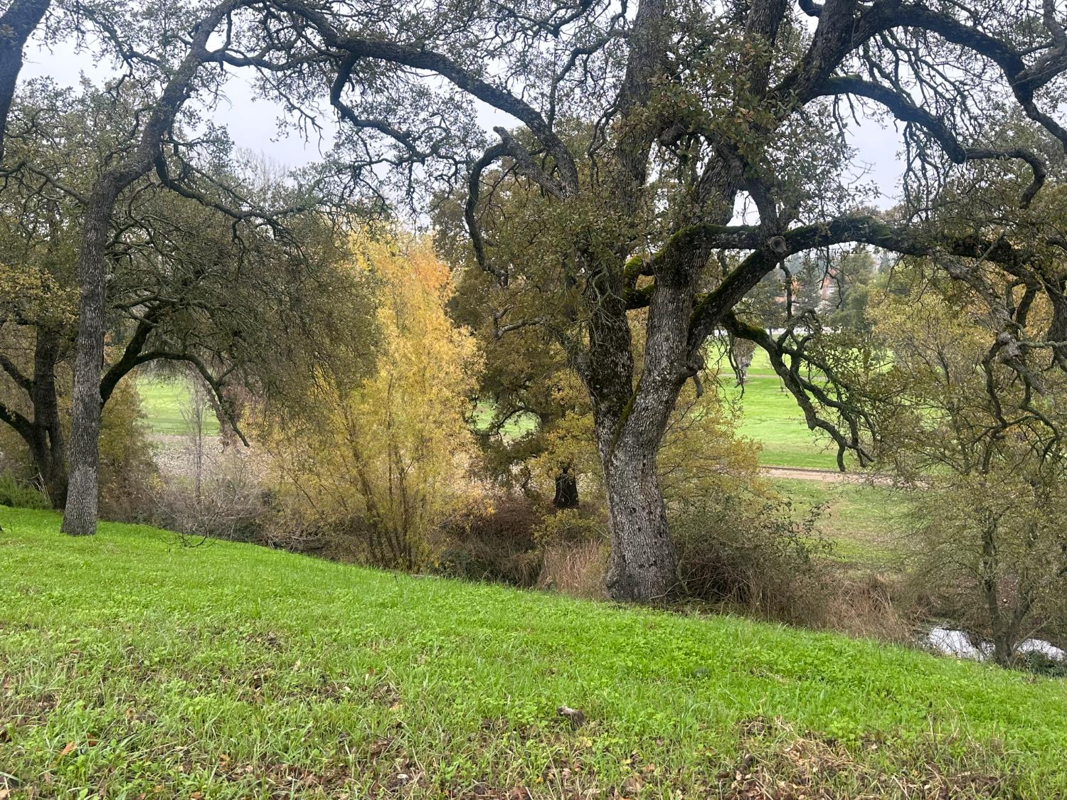 2063 Greenbriar Road Valley Springs, CA 95252 - Photo 8 of 8