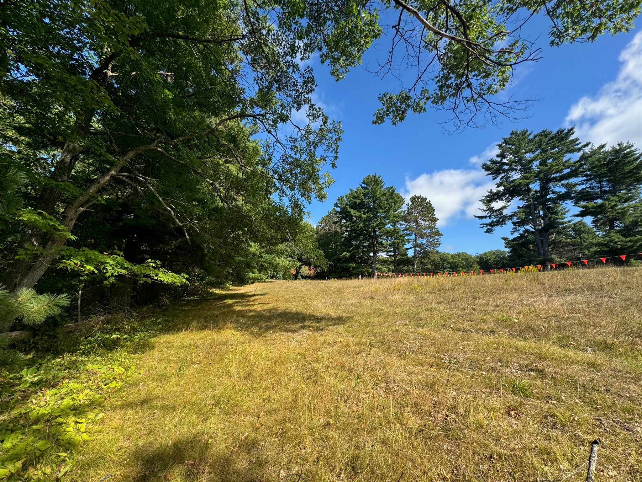 Lot 2 Roberts Road Hayward, WI 54843 - Photo 11 of 28 Gallery Image 11