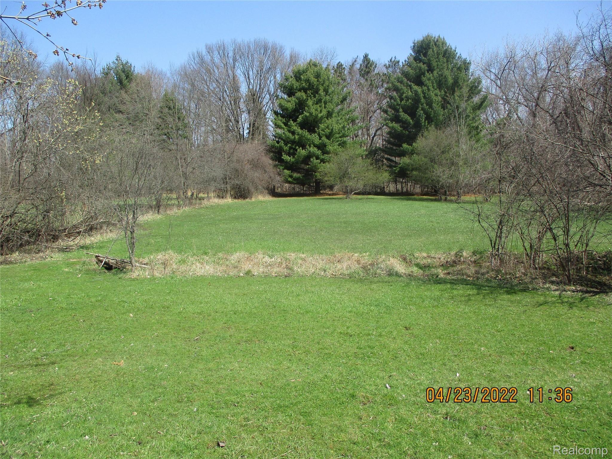 25890 Farmbrook Road Southfield, MI 48034 - Photo 14 of 20 BACK YARD 1.JPG
