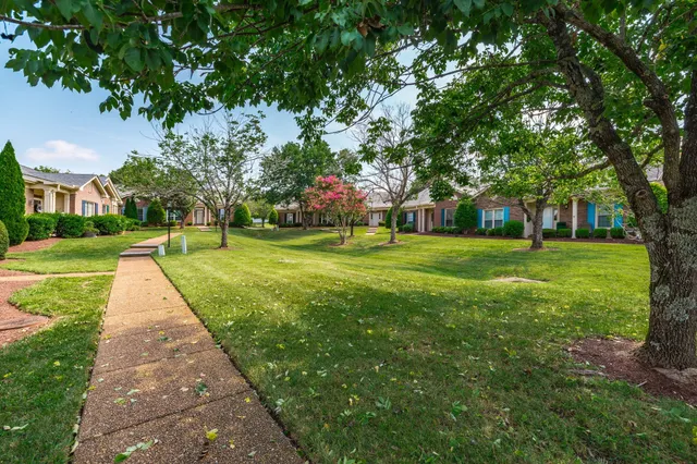a view of a park with large trees