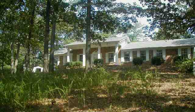 Main View