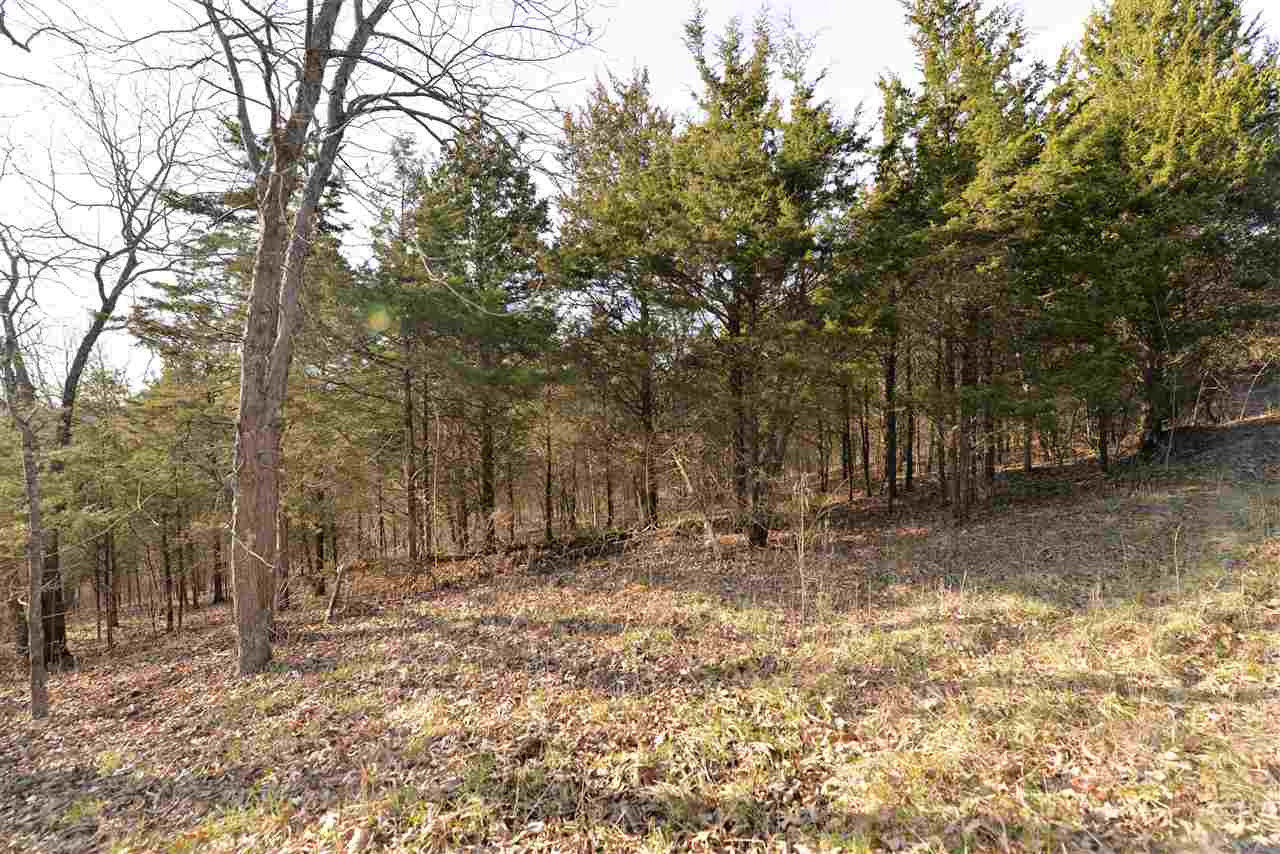 1265 Lincoln Ridge Road Williamstown, KY 41097 - Photo 7 of 19 Gallery Image 7