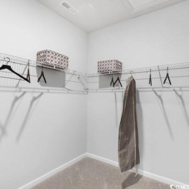 805 Western Rail Way Loris, SC 29569 - Photo 15 of 15