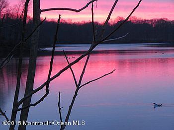 23 Beaver Dam Road Colts Neck, NJ 07722 - Photo 28 of 29 Beautiful Sunsets