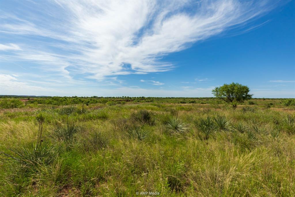 440 C R 440 Rotan, TX 79546 - Photo 15 of 33