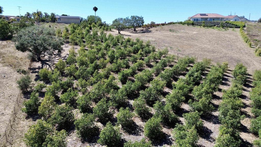 Hawks View Way Fallbrook, CA 92028 - Photo 4 of 36