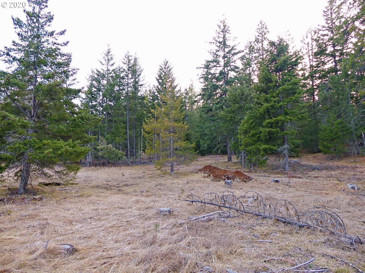 36 Lava Road Trout Lake, WA 98650 - Photo 14 of 17 Gallery Image 14