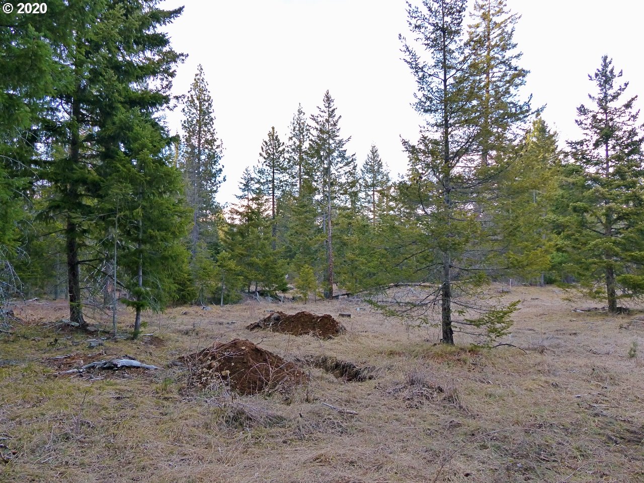 36 Lava Road Trout Lake, WA 98650 - Photo 15 of 17 Gallery Image 15
