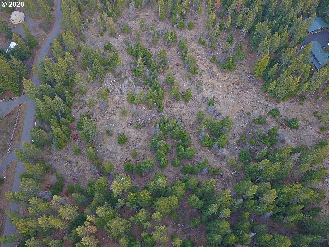 36 Lava Road Trout Lake, WA 98650 - Photo 3 of 17 Gallery Image 3