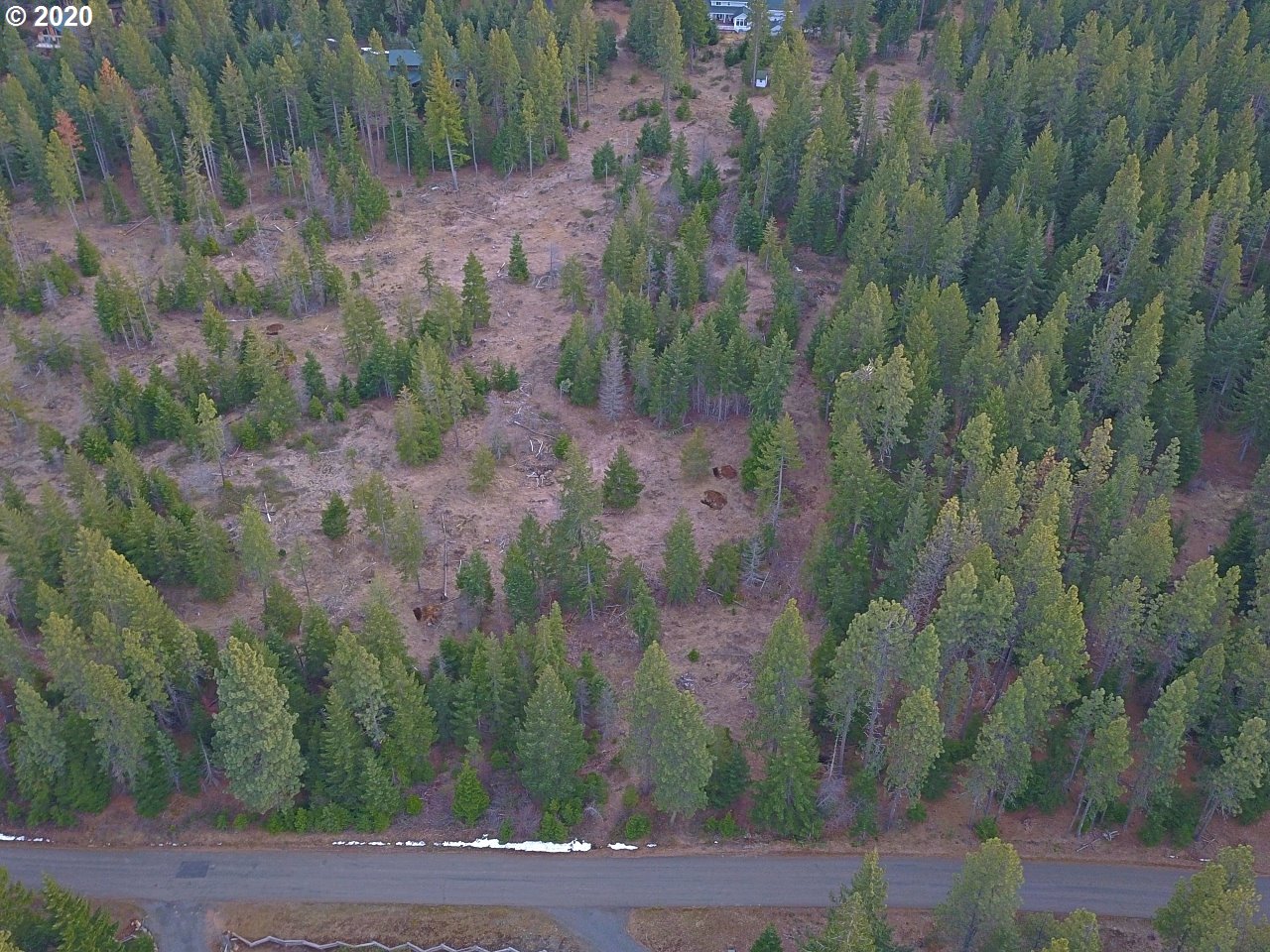 36 Lava Road Trout Lake, WA 98650 - Photo 4 of 17 Gallery Image 4