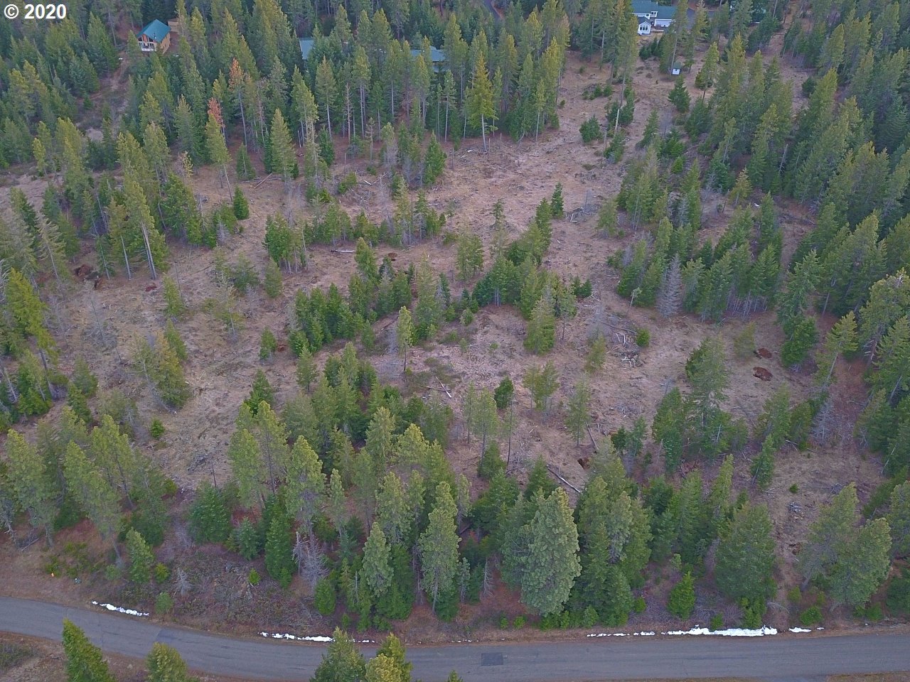 36 Lava Road Trout Lake, WA 98650 - Photo 5 of 17 Gallery Image 5