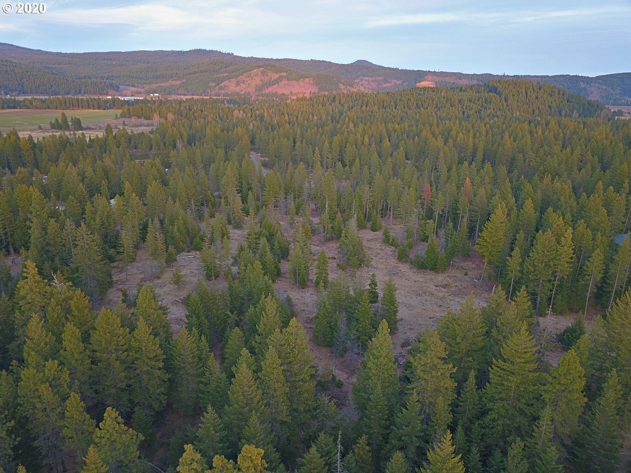 36 Lava Road Trout Lake, WA 98650 - Photo 9 of 17 Gallery Image 9