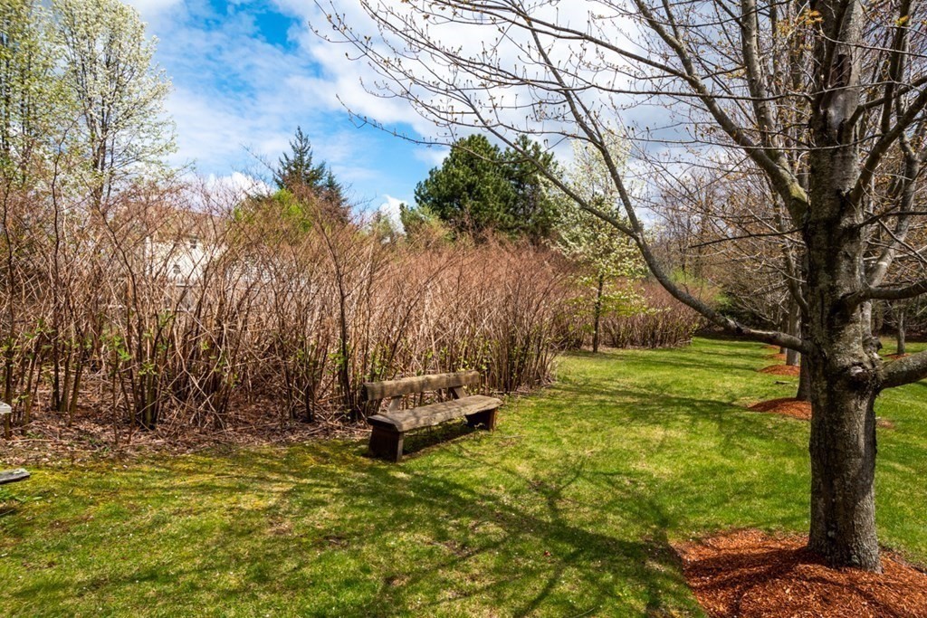 36 Webb Brook Road, Unit 4 Billerica, MA 01821 - Photo 18 of 21