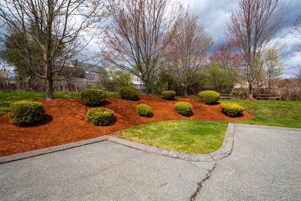 36 Webb Brook Road, Unit 4 Billerica, MA 01821 - Photo 19 of 21 a view of backyard with plants and trees