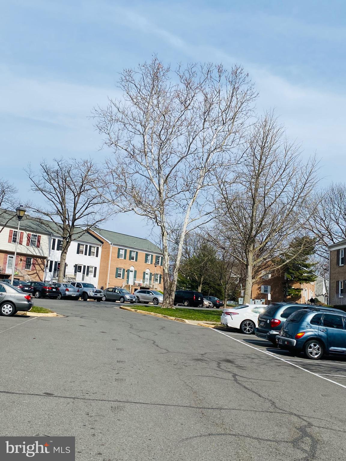 14419 Cool Oak Lane Centreville, VA 20121 - Photo 26 of 30