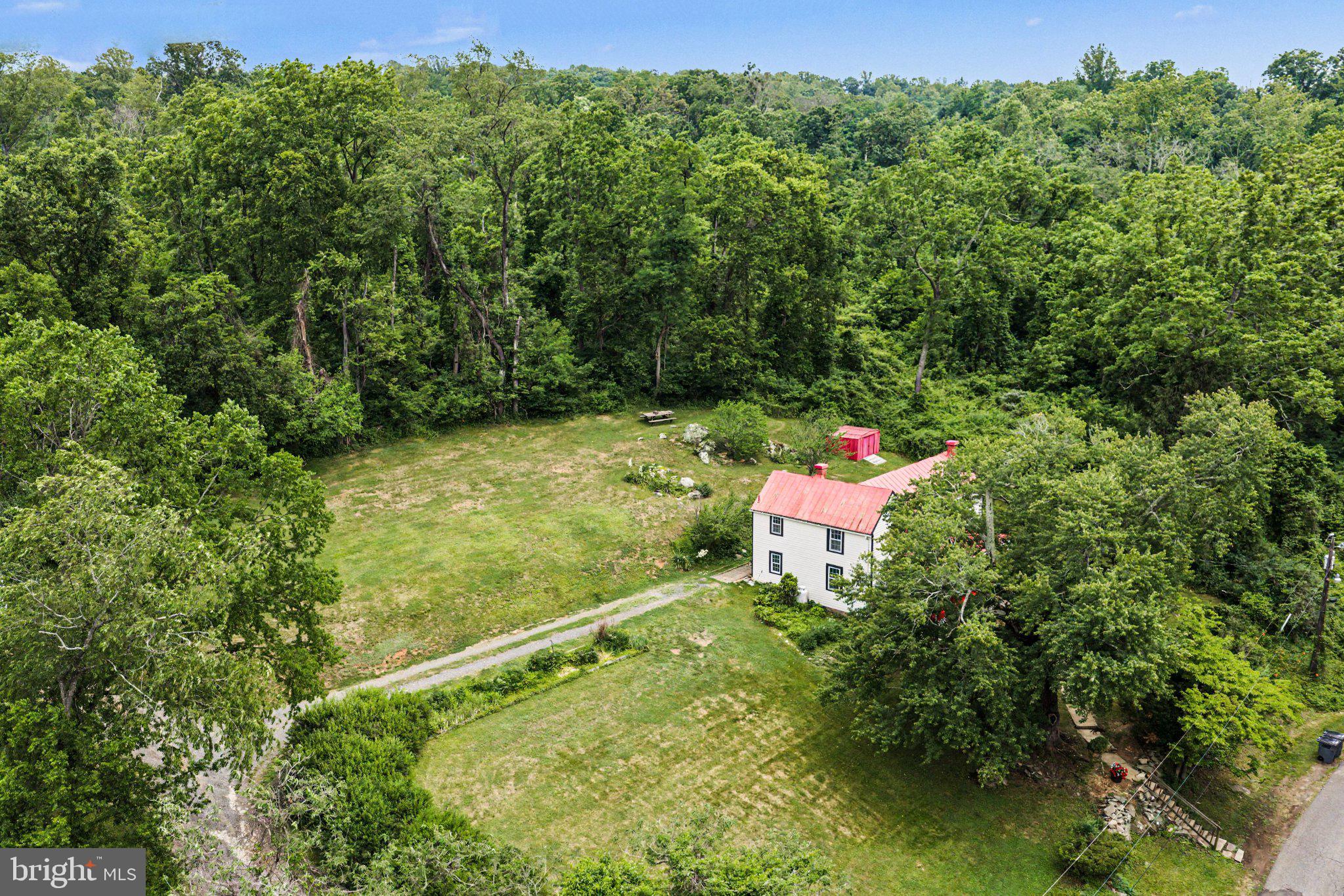 6287 Old Zion Road Warrenton, VA 20187 - Photo 29 of 69 Serene retreat amid lush greenery.
