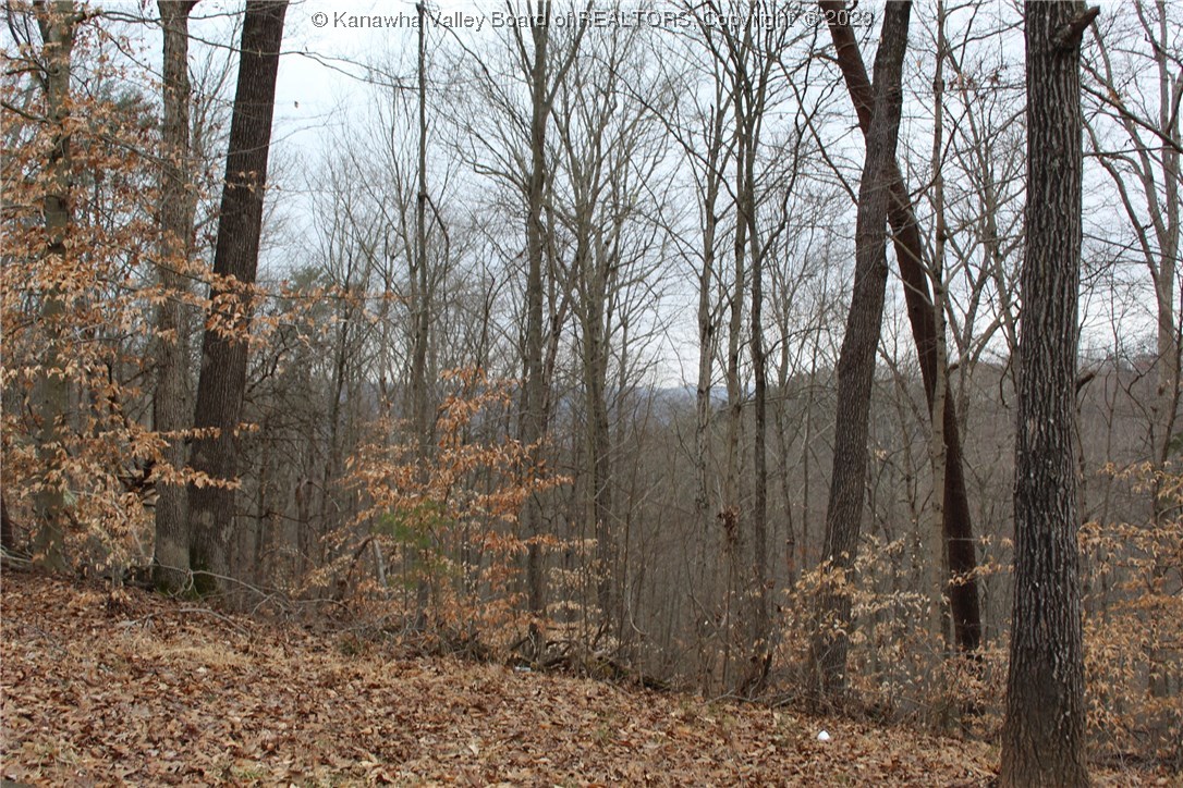 38 Summit Point Drive Eleanor, WV 25070 - Photo 8 of 11 Gallery Image 8