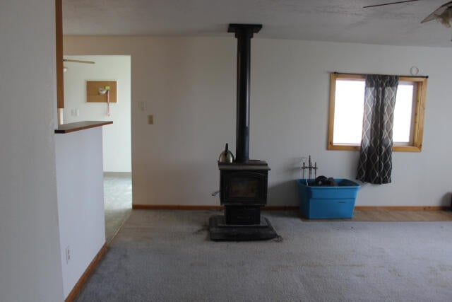 58009 Maple Circle Road Christmas Valley, OR 97641 - Photo 19 of 38 Wood stove in LR