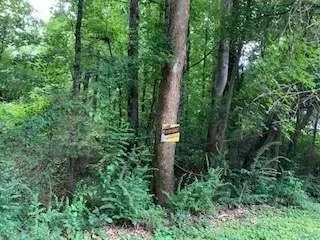 an aerial view of residential house with outdoor space and trees all around