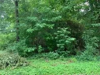 a view of a backyard with a small pool