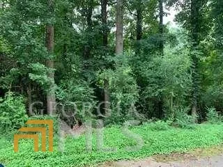 a view of a garden with plants