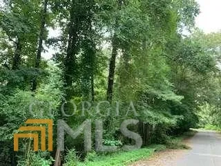 a view of a forest with trees