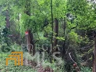 a view of backyard with green space