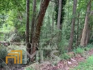 an aerial view of residential house with outdoor space