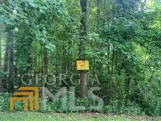 a view of a street with potted plants and large trees