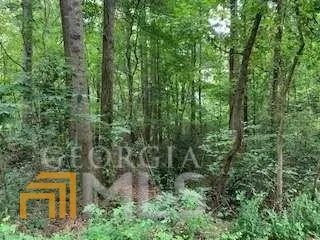 a view of a yard with plants and a large tree