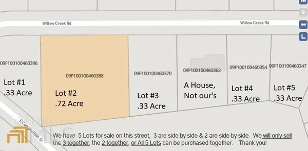 a view of a lush green forest