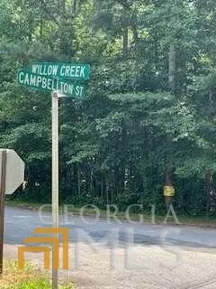 a view of a lush green forest