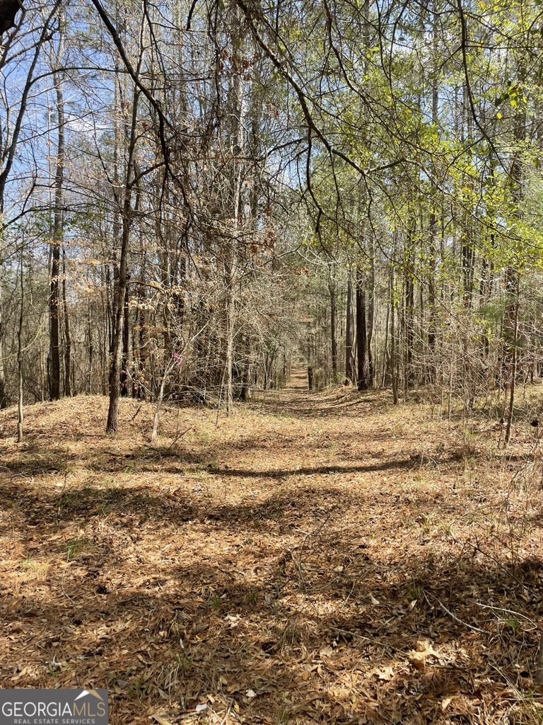 0 Minor Thomaston, GA 30286 - Photo 8 of 32