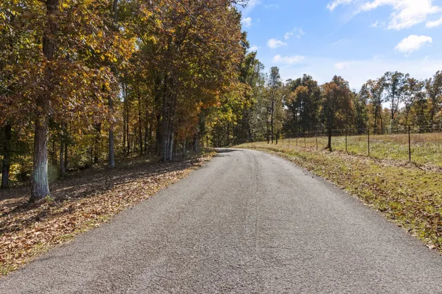 a view of outdoor space with trees
