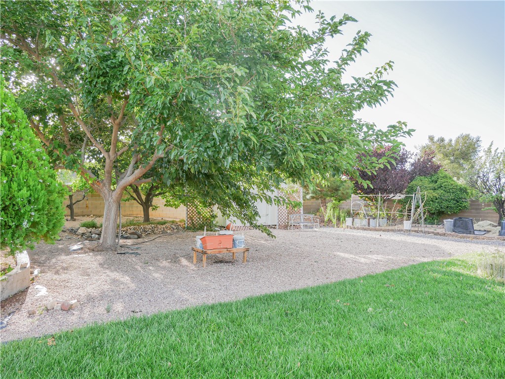 2575 Triangle S Street Kingman, AZ 86401 - Photo 37 of 45 a backyard of a house with table and chairs plants and large trees