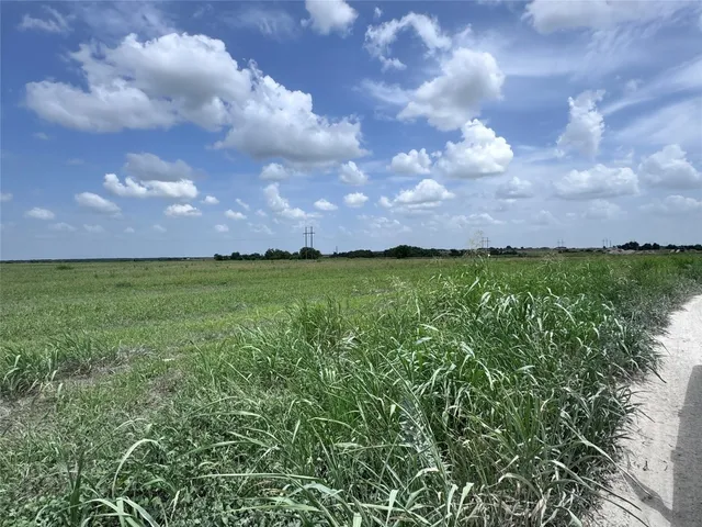 a view of yard with swimming pool and green space