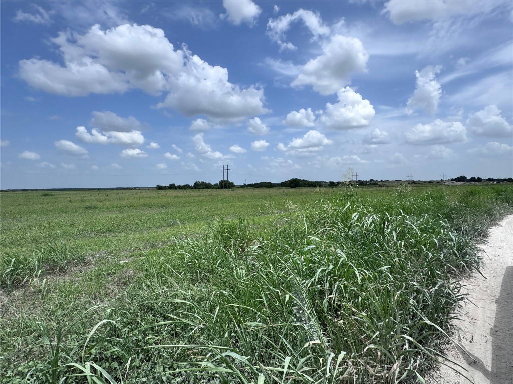 35 Ih Georgetown, TX 78626 - Photo 14 of 33 a view of a big yard with lots of green space and fog