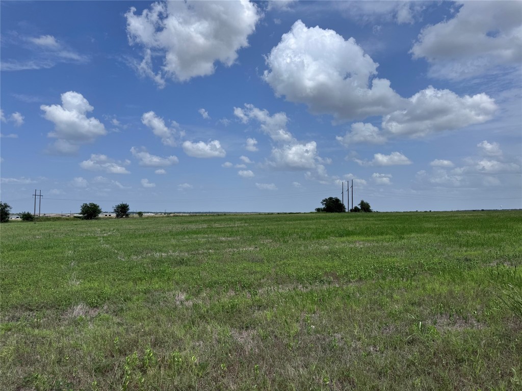 35 Ih Georgetown, TX 78626 - Photo 17 of 33 a view of yard with grass & green space