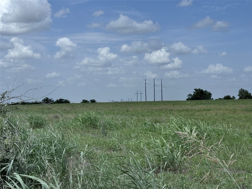 35 Ih Georgetown, TX 78626 - Photo 19 of 33 a view of yard with swimming pool and green space