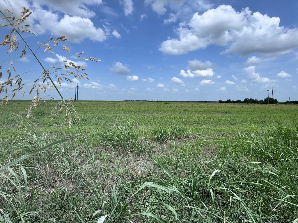35 Ih Georgetown, TX 78626 - Photo 9 of 33 a view of a yard with an trees and a yard