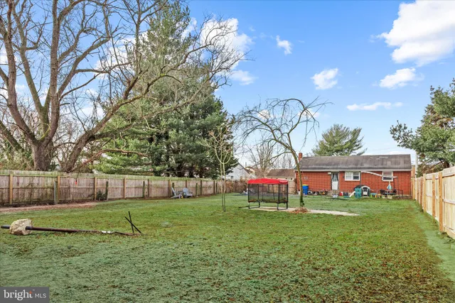 a view of a park with large trees
