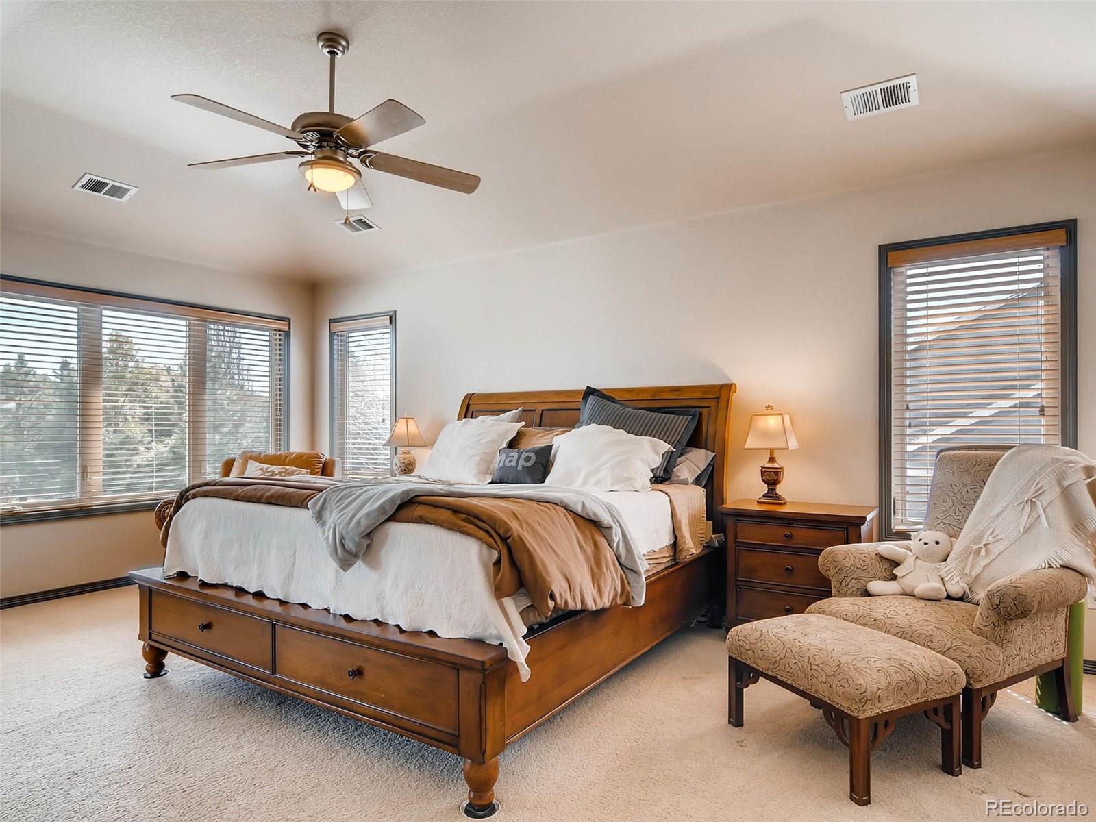 10540 Ridgecrest Circle Highlands Ranch, CO 80129 - Photo 17 of 35 Gallery Image 17