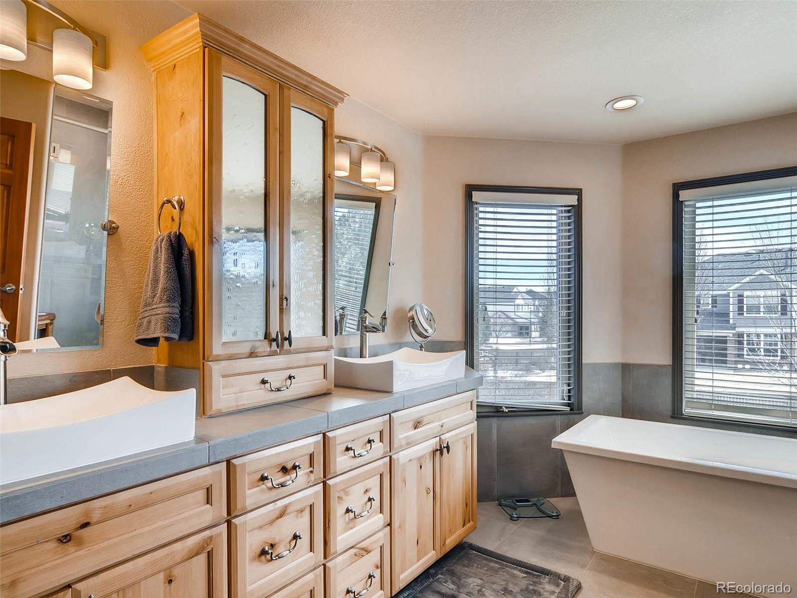10540 Ridgecrest Circle Highlands Ranch, CO 80129 - Photo 19 of 35 Gallery Image 19
