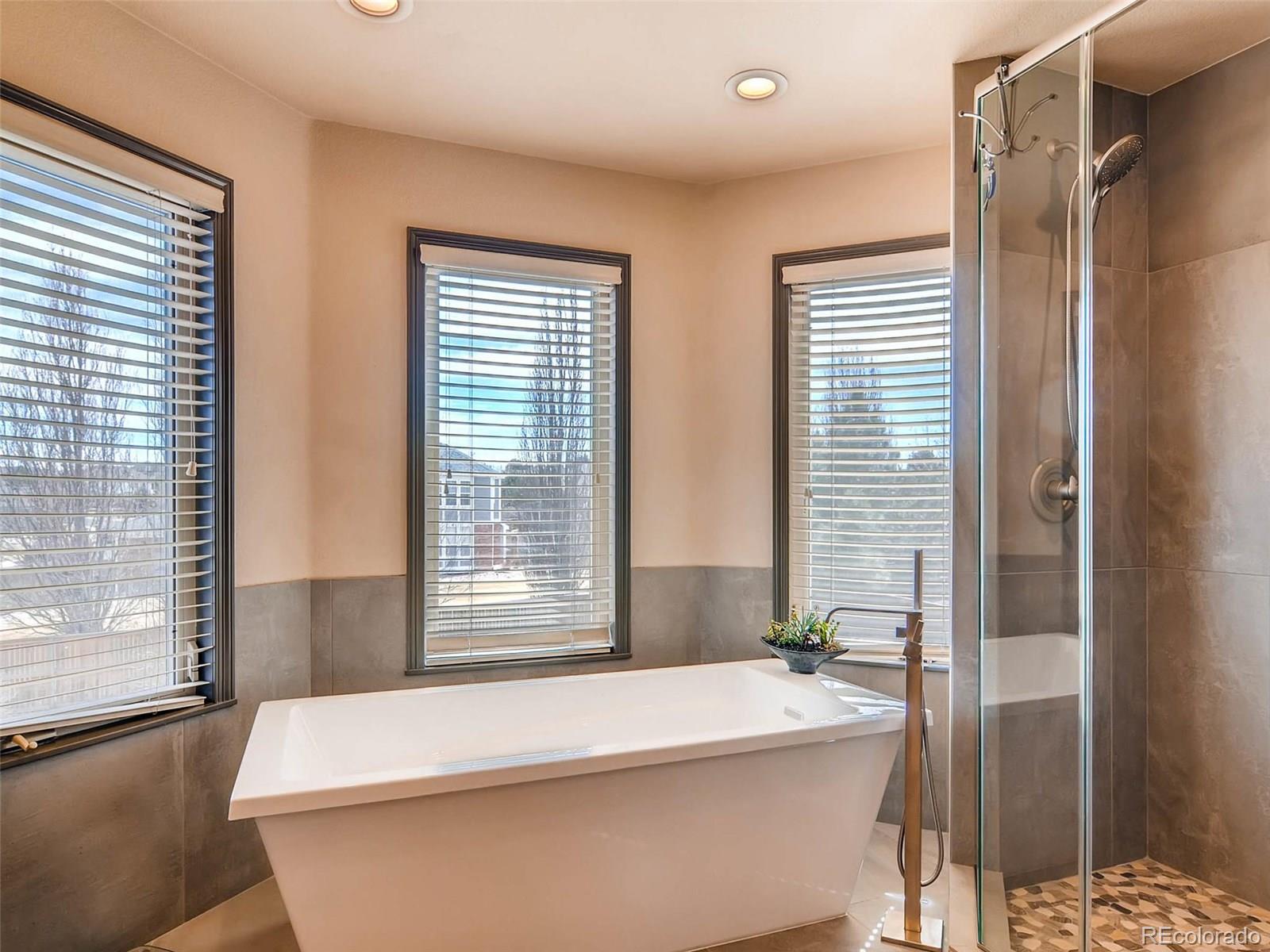 10540 Ridgecrest Circle Highlands Ranch, CO 80129 - Photo 20 of 35 Gallery Image 20