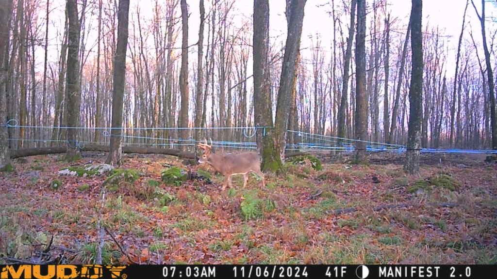 Springbrook Road Tigerton, WI 54486 - Photo 15 of 56
